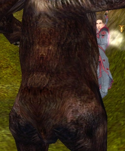 gilwabearorion gilwabearorion