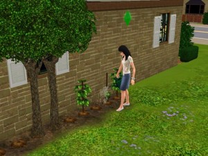 lesliegarden
